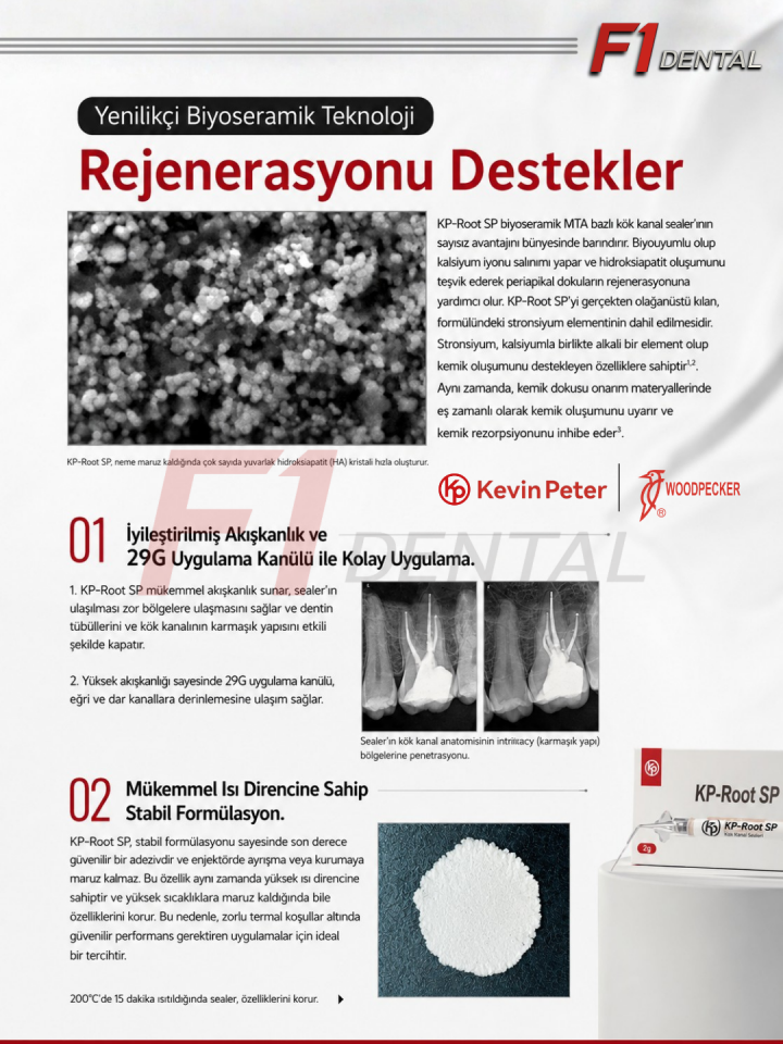 Woodpecker KP-Root SP Injectable Biyoseramik Kanal Dolgu Patı 2gr