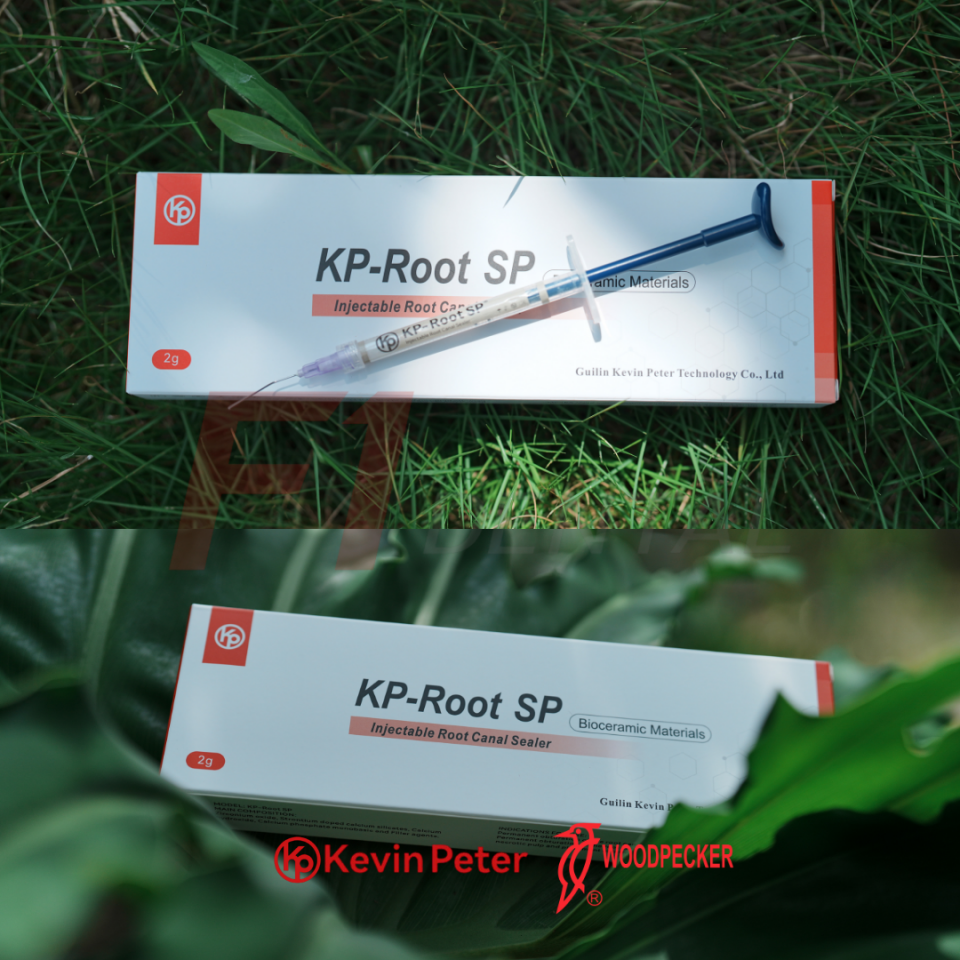 Woodpecker KP-Root SP Injectable Biyoseramik Kanal Dolgu Patı 2gr