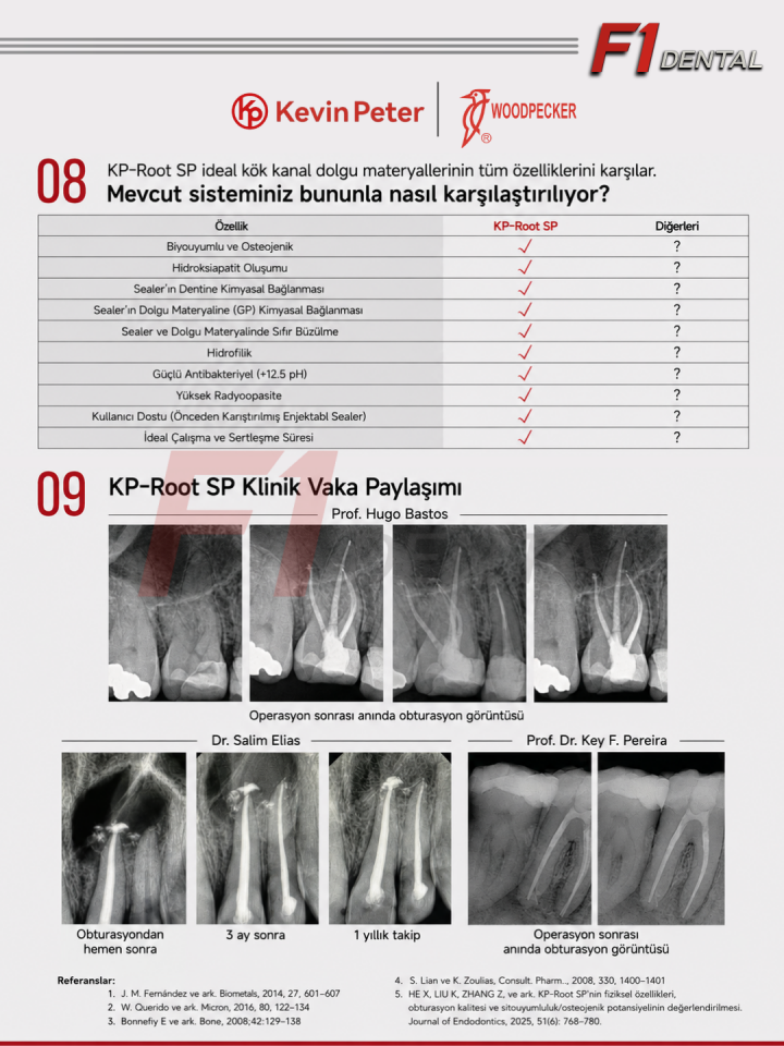 Woodpecker KP-Root SP Injectable Biyoseramik Kanal Dolgu Patı 2gr
