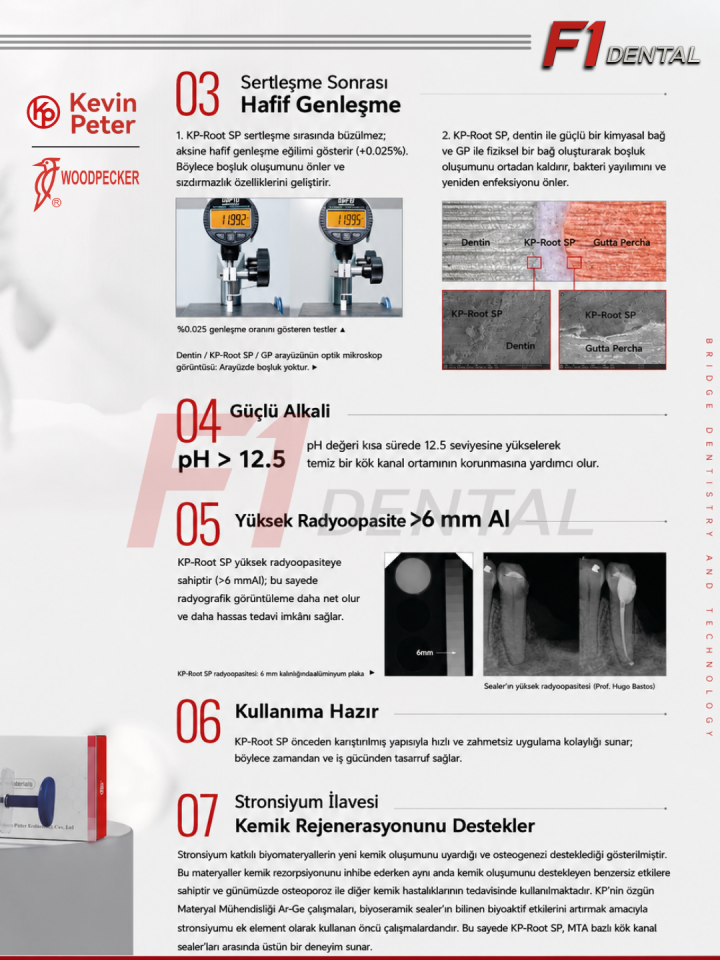 Woodpecker KP-Root SP Injectable Biyoseramik Kanal Dolgu Patı 2gr