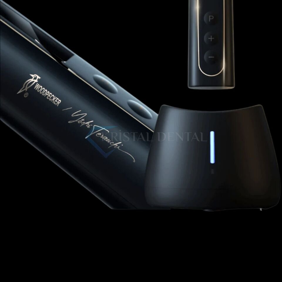 Woodpecker Black Ai-Motor Endomotor ve Apex Bulucu - Black Edition