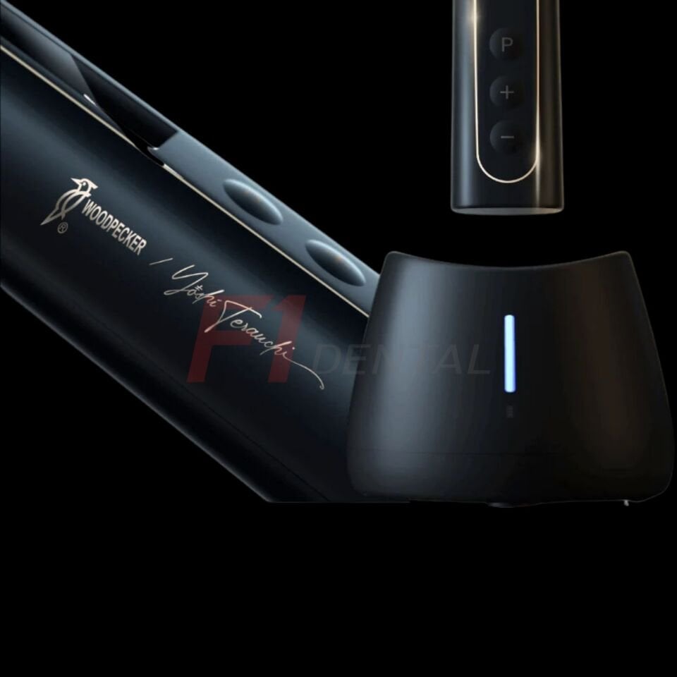 Woodpecker Black Ai-Motor Endomotor ve Apex Bulucu - Black Edition