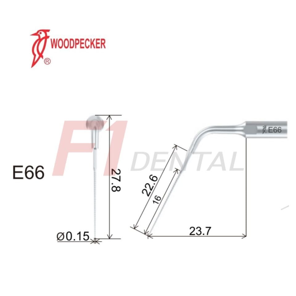 Woodpecker Kavitron Ucu Endodonti E66 - (Woodpecker,Ems,Mectron,WH Uyumlu)