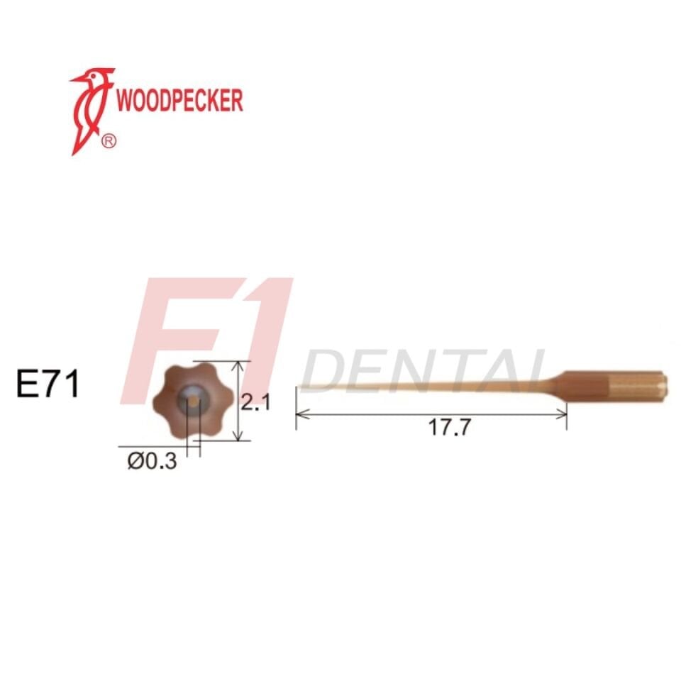 Woodpecker Kavitron Ucu Endodonti E71 - (Woodpecker,Ems,Mectron,WH Uyumlu)
