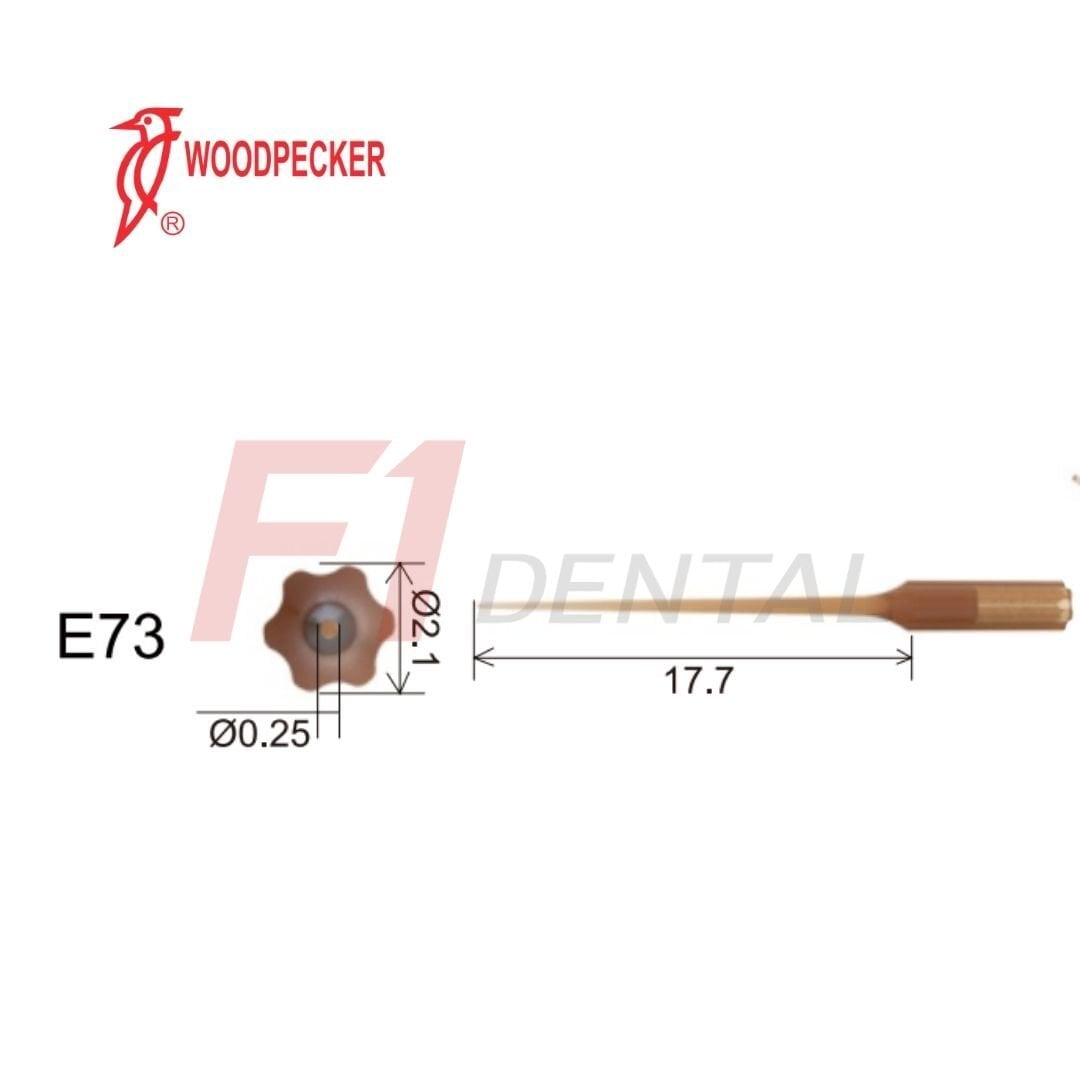 Woodpecker Kavitron Ucu Endodonti E73 - (Woodpecker,Ems,Mectron,WH Uyumlu)