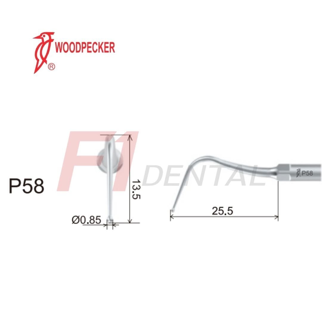 Woodpecker Kavitron Ucu P58 - (Woodpecker,Ems,Mectron,WH Uyumlu)