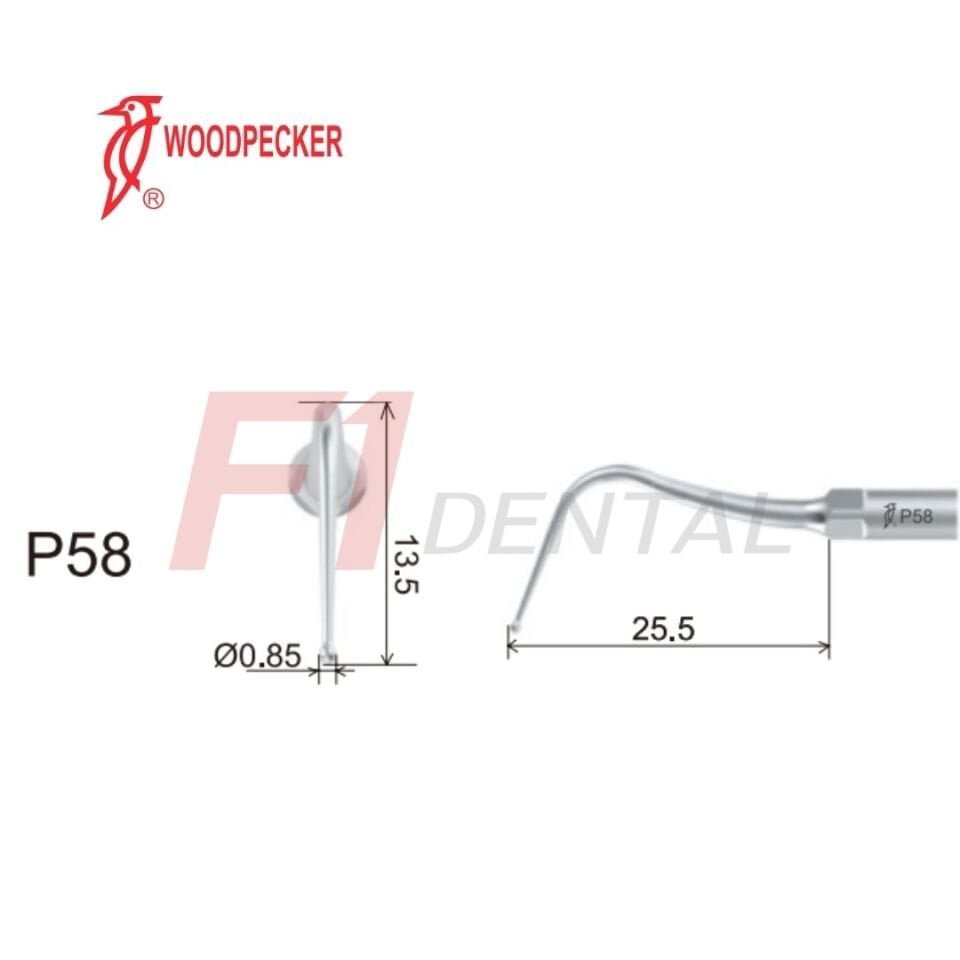 Woodpecker Kavitron Ucu P58 - (Woodpecker,Ems,Mectron,WH Uyumlu)