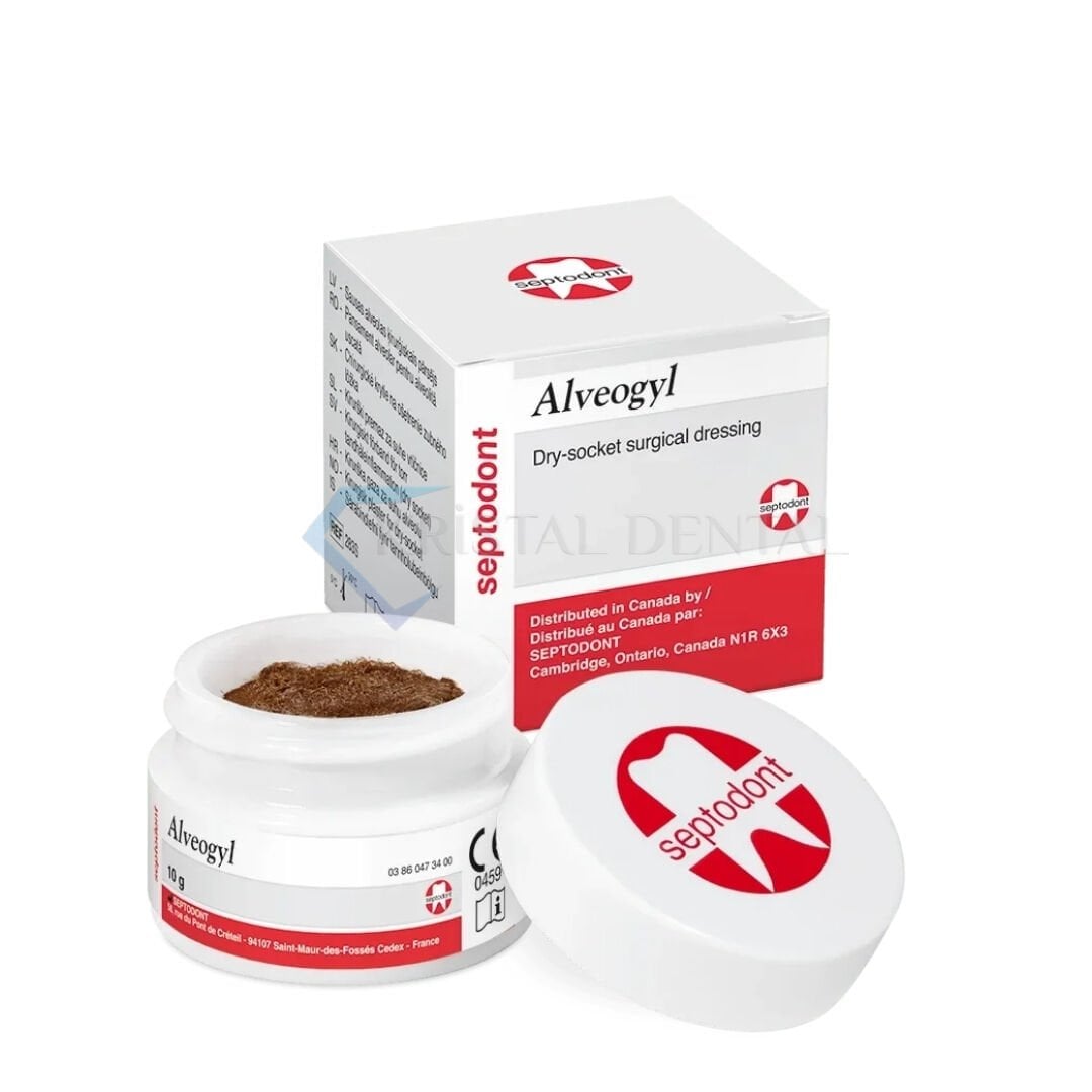 Septodont Alveojel Kuru Soket Patı