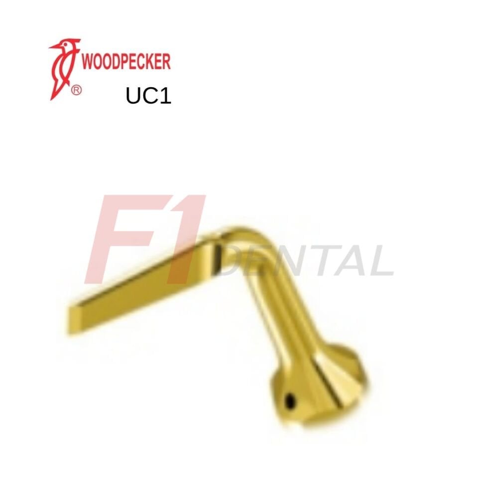 Woodpecker Ultrasurgery Exelcymosis Piezo Ucu UC1 - (Woodpecker,Satalec Uyumlu)