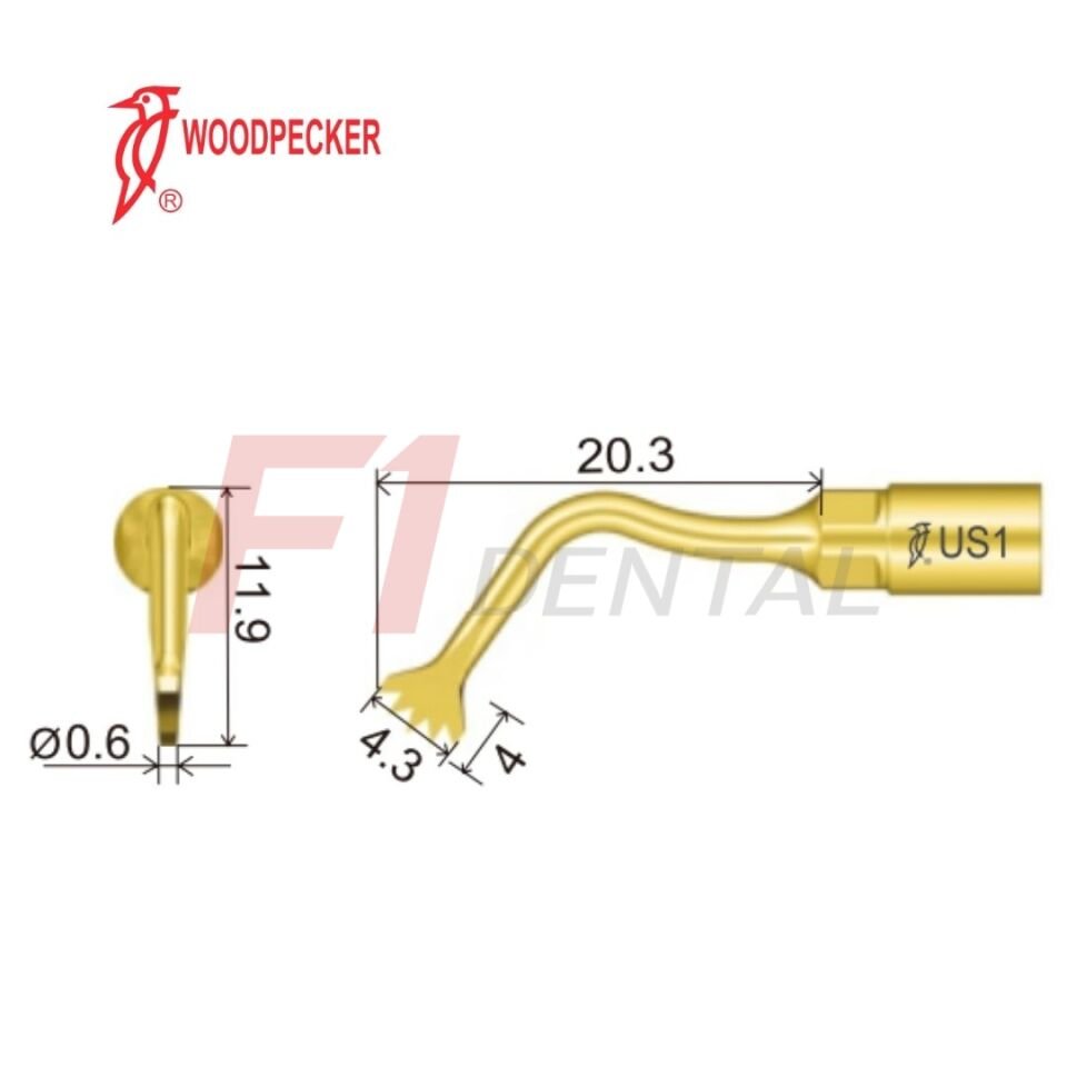 Woodpecker Ultrasurgery Bone Surgery Piezo Ucu US1 - (Woodpecker, Mectron, Ems Uyumlu)