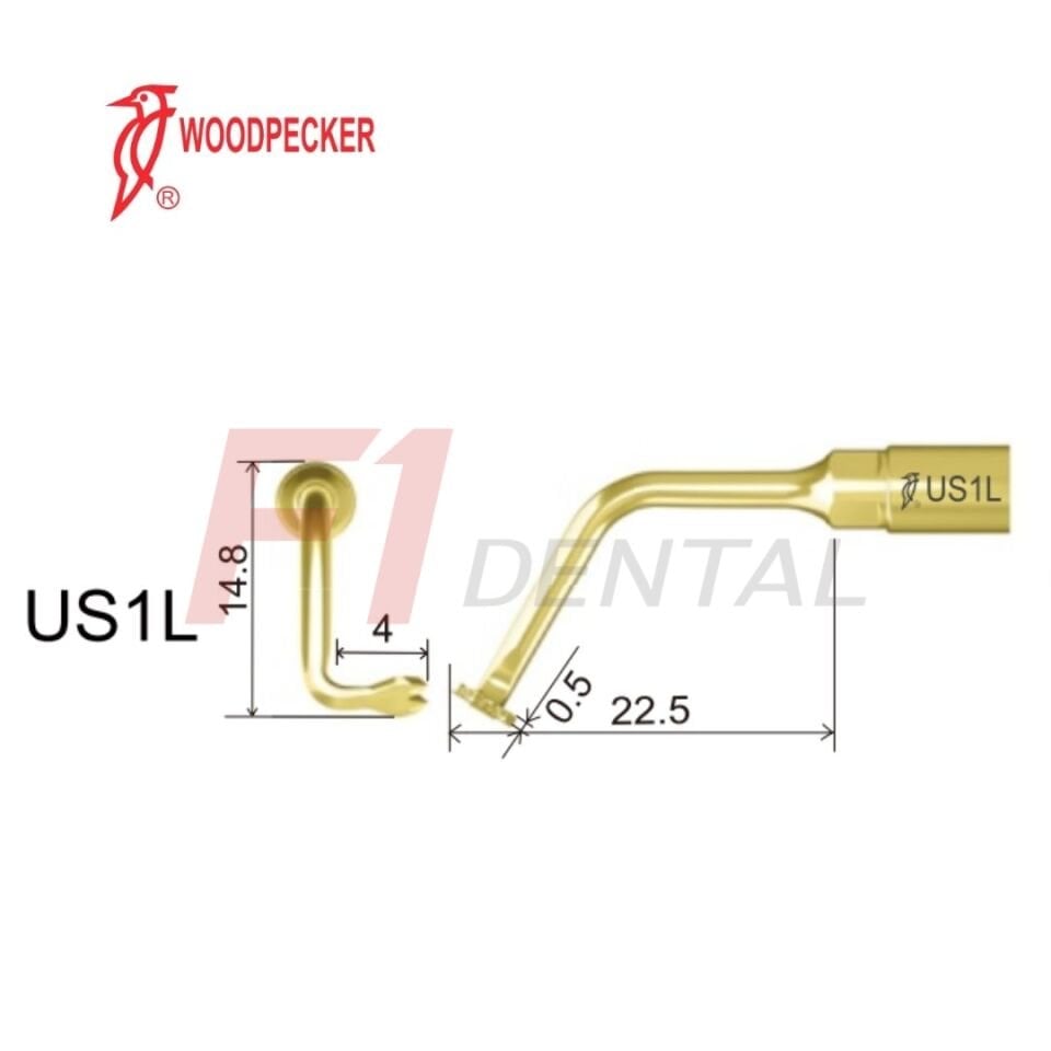 Woodpecker Ultrasurgery Bone Surgery Piezo Ucu US1L - (Woodpecker, Mectron, Ems Uyumlu)