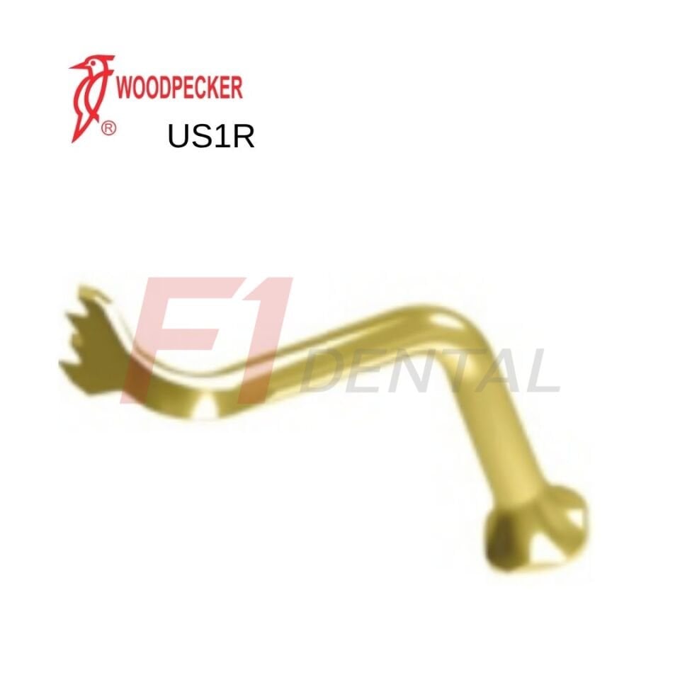 Woodpecker Ultrasurgery Bone Surgery Piezo Ucu US1R - (Woodpecker, Mectron, Ems Uyumlu)
