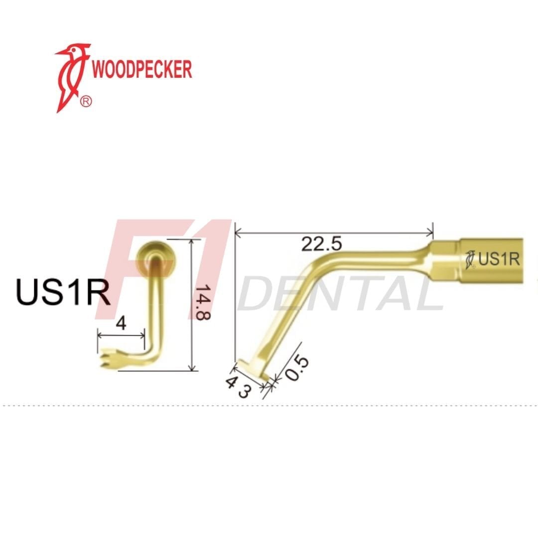 Woodpecker Ultrasurgery Bone Surgery Piezo Ucu US1R - (Woodpecker, Mectron, Ems Uyumlu)