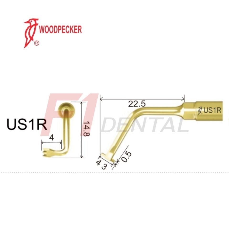 Woodpecker Ultrasurgery Bone Surgery Piezo Ucu US1R - (Woodpecker, Mectron, Ems Uyumlu)