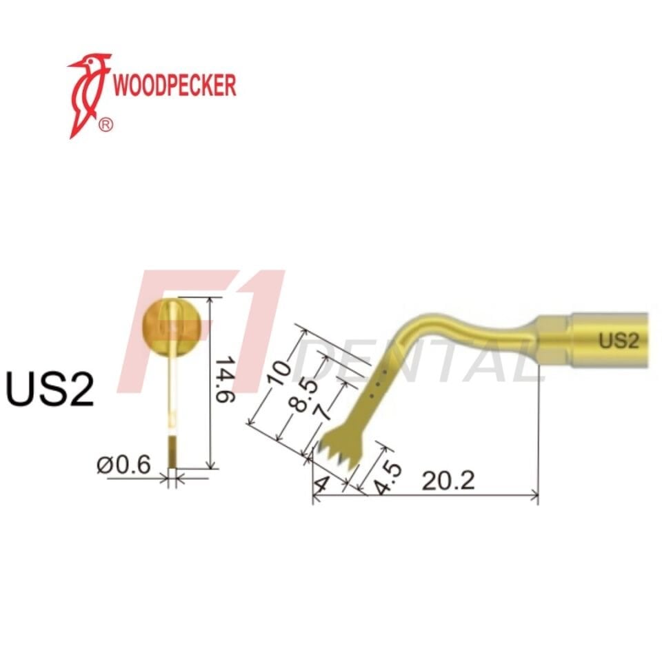 Woodpecker Ultrasurgery Bone Surgery Piezo Ucu US2 - (Woodpecker, Mectron, Ems Uyumlu)