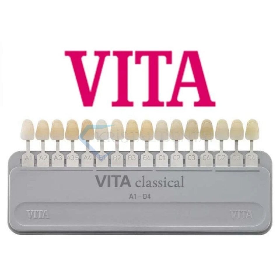 Vita Classical A1–D4 Renk Skalası