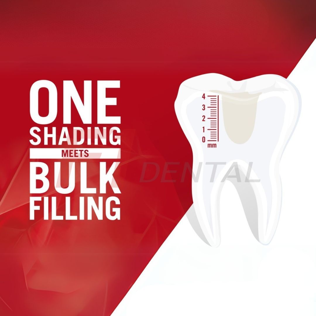 Kulzer Charisma Bulk Flow One Akışkan Kompozit 10'lu Set