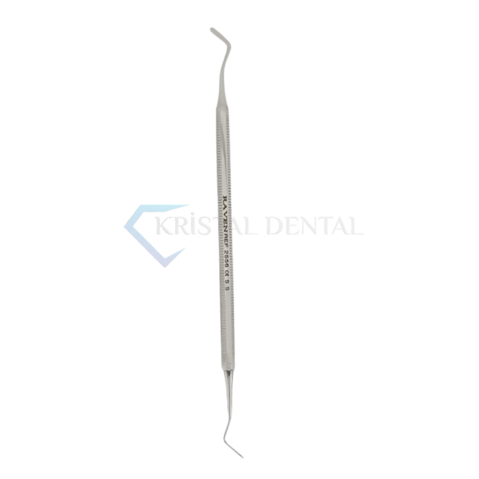 Plastık Dolum Spatul / Plastıc Fıllıng Instruments 2 mm2556
