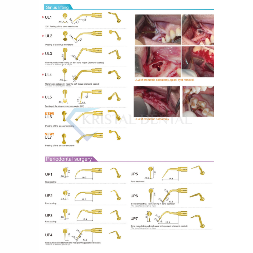 Woodpecker DS-II LED Piezo Cihazı