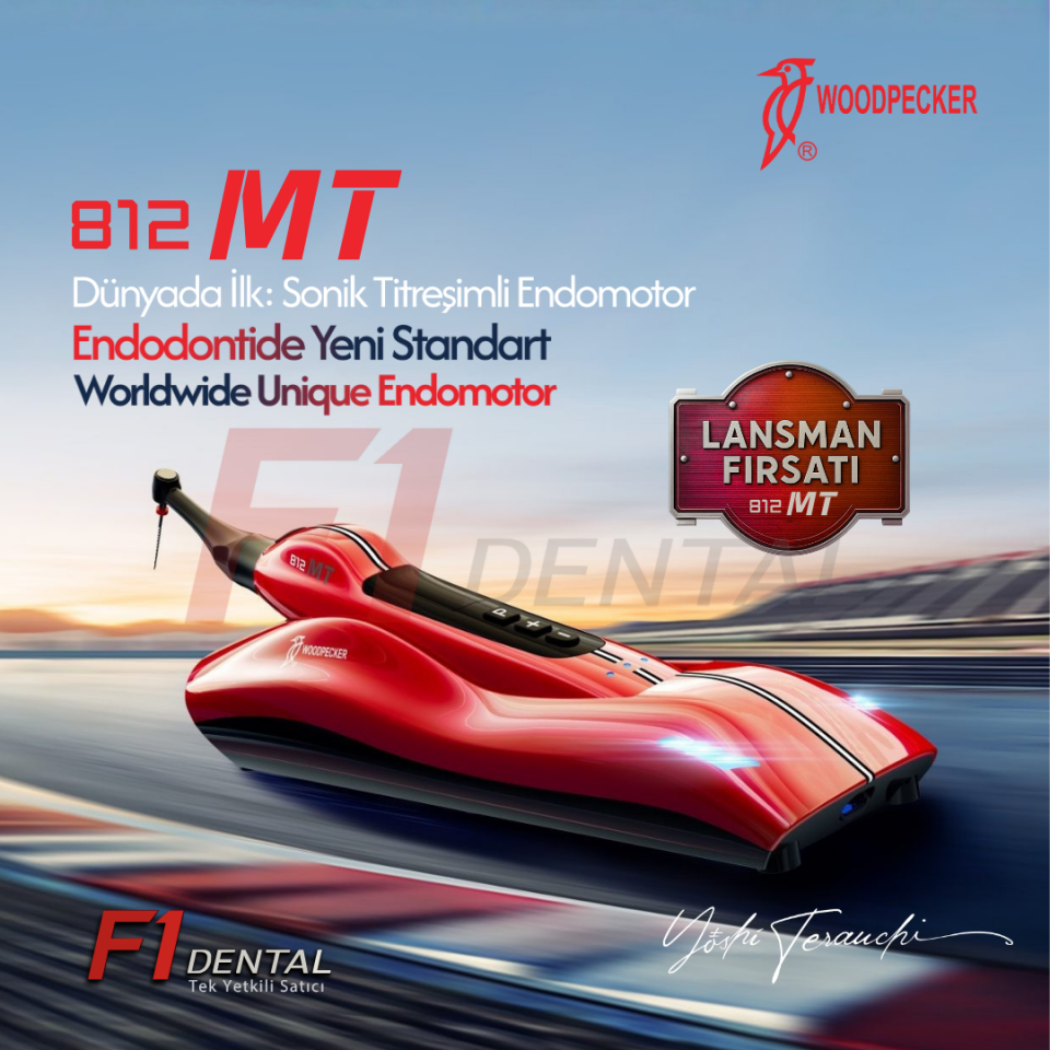 Woodpecker 812 MT Endomotor - Worldwide Unique