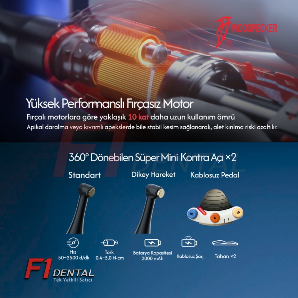 Woodpecker 812 MT Endomotor - Worldwide Unique