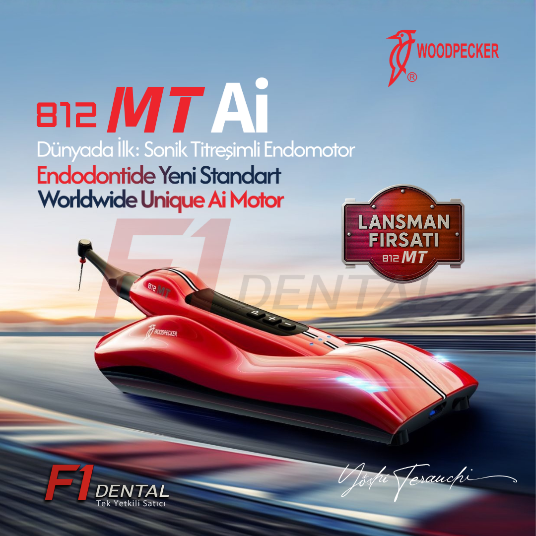 Woodpecker 812 MT Ai Endomotor