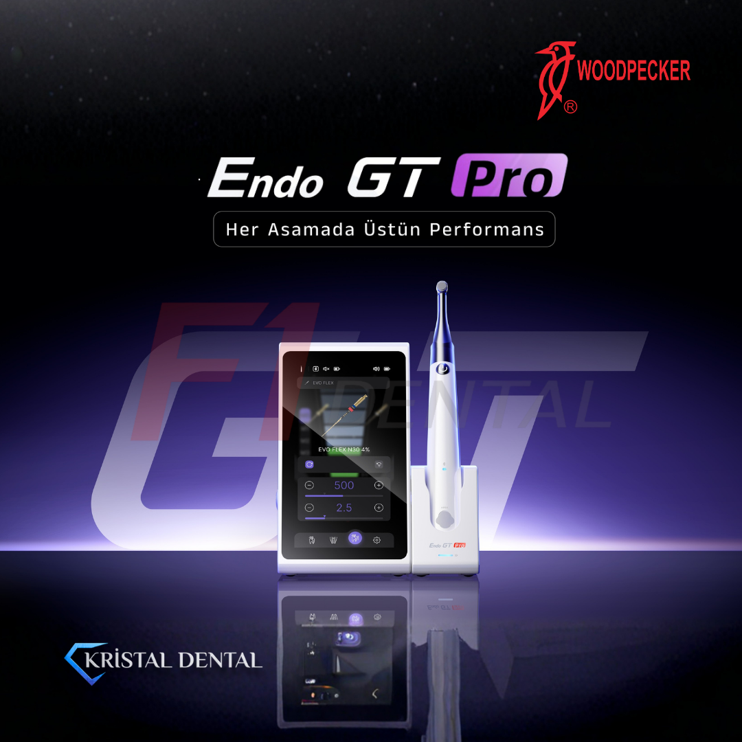 Woodpecker Endo GT Pro Endomotor
