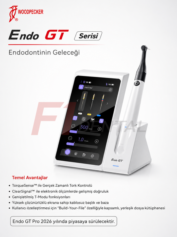 Woodpecker Endo GT Pro Endomotor