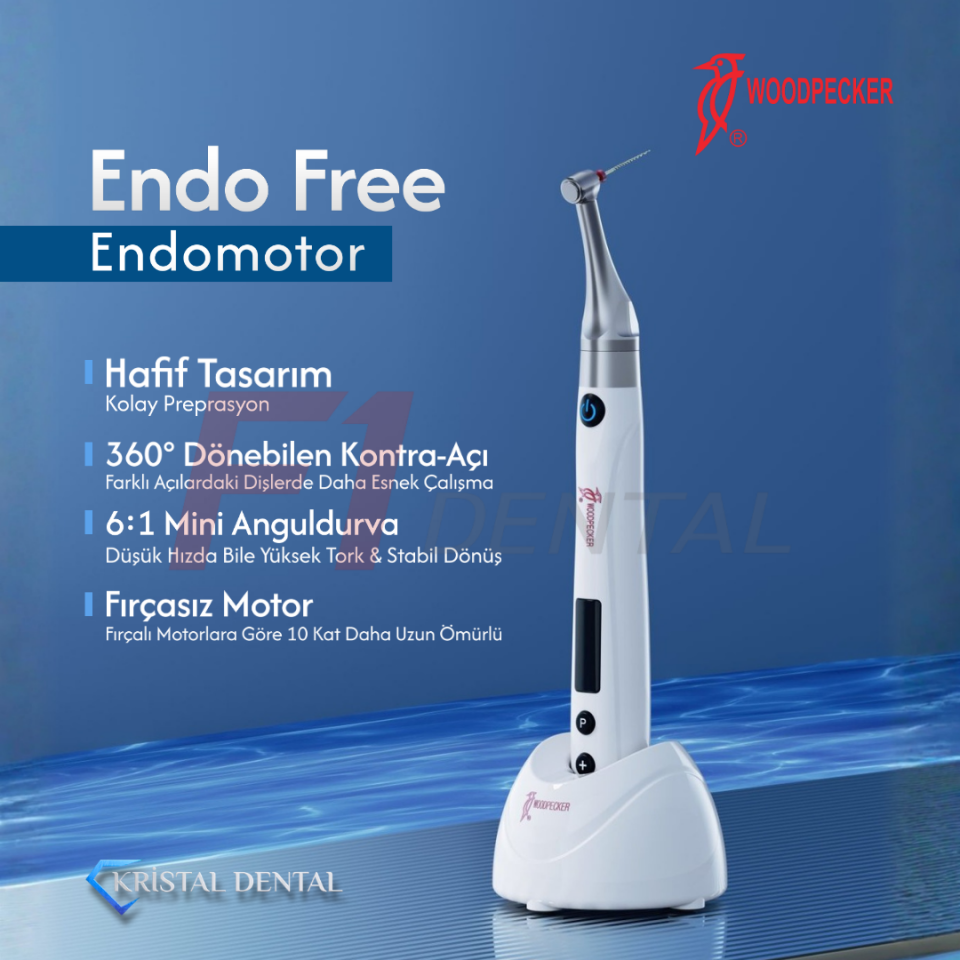 Woodpecker Endo Free Endomotor