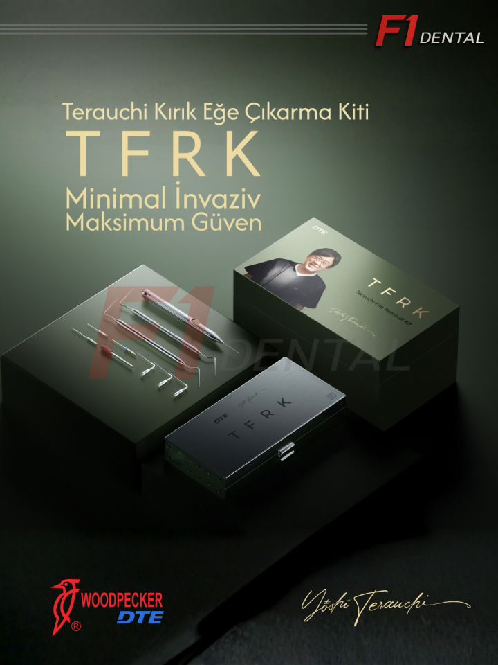 Woodpecker Kırık Kanal Eğesi Çıkarma Seti TFRK KİT