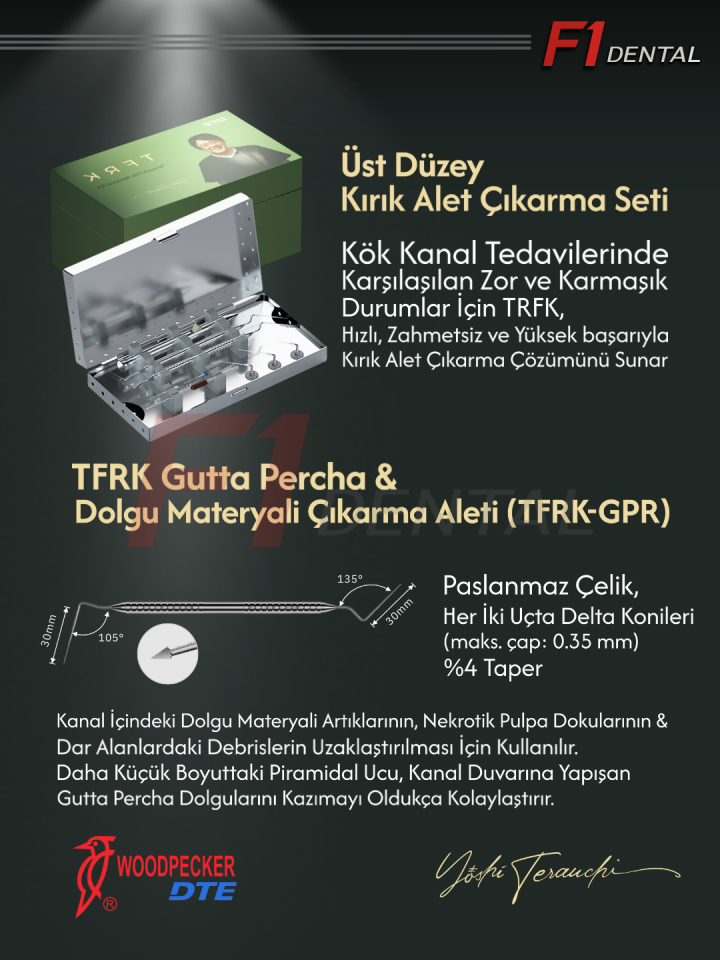 Woodpecker Kırık Kanal Eğesi Çıkarma Seti TFRK KİT