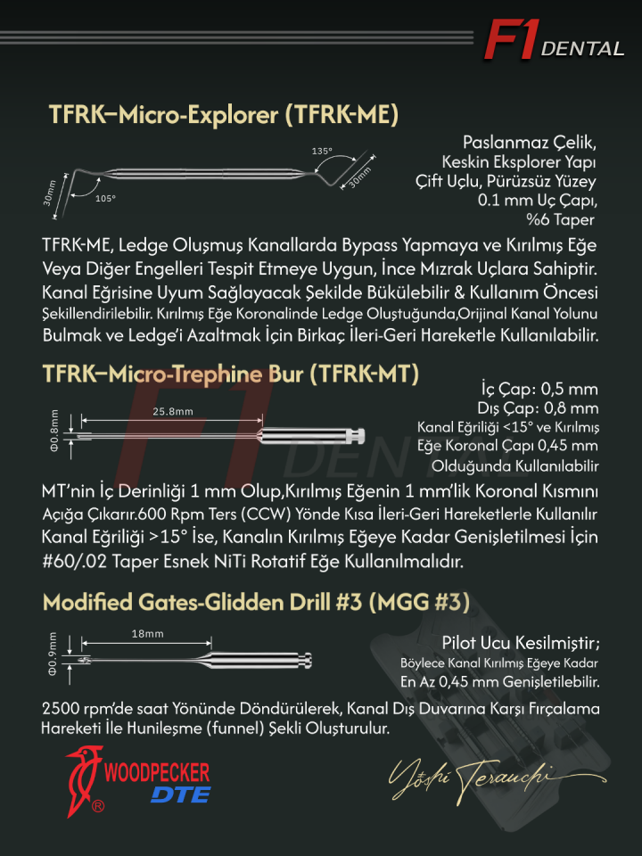 Woodpecker Kırık Kanal Eğesi Çıkarma Seti TFRK KİT