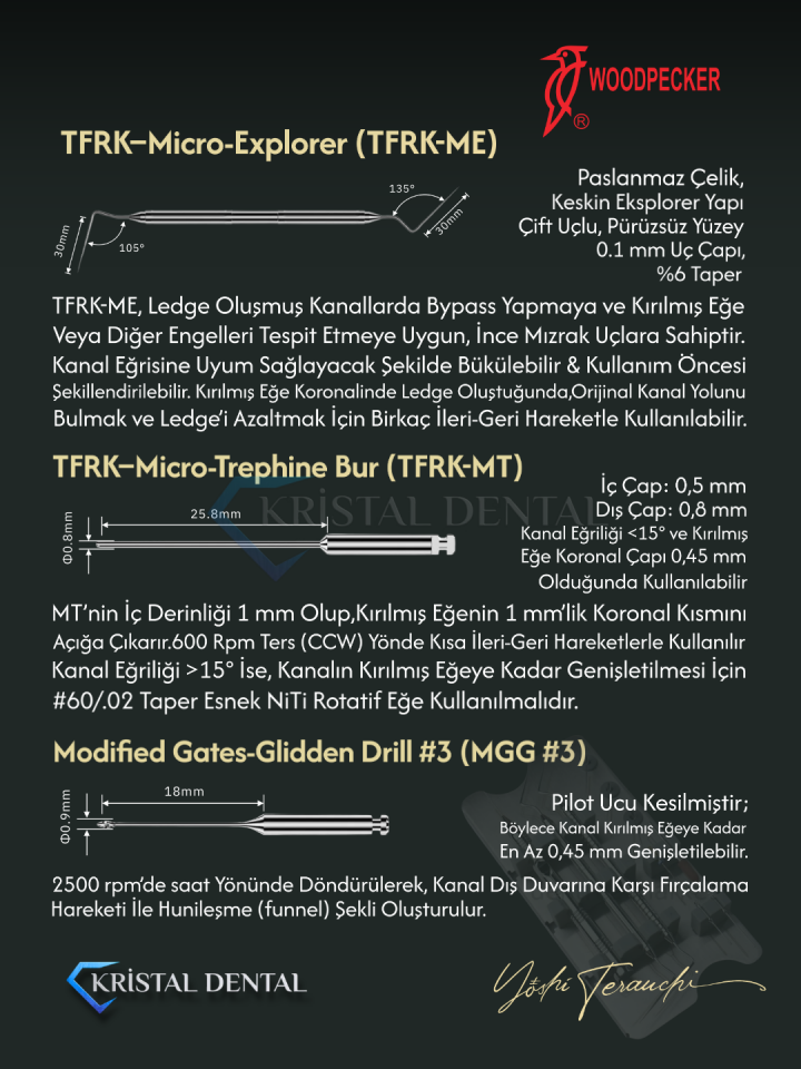 Woodpecker Kırık Kanal Eğesi Çıkarma Seti TRFK KİT
