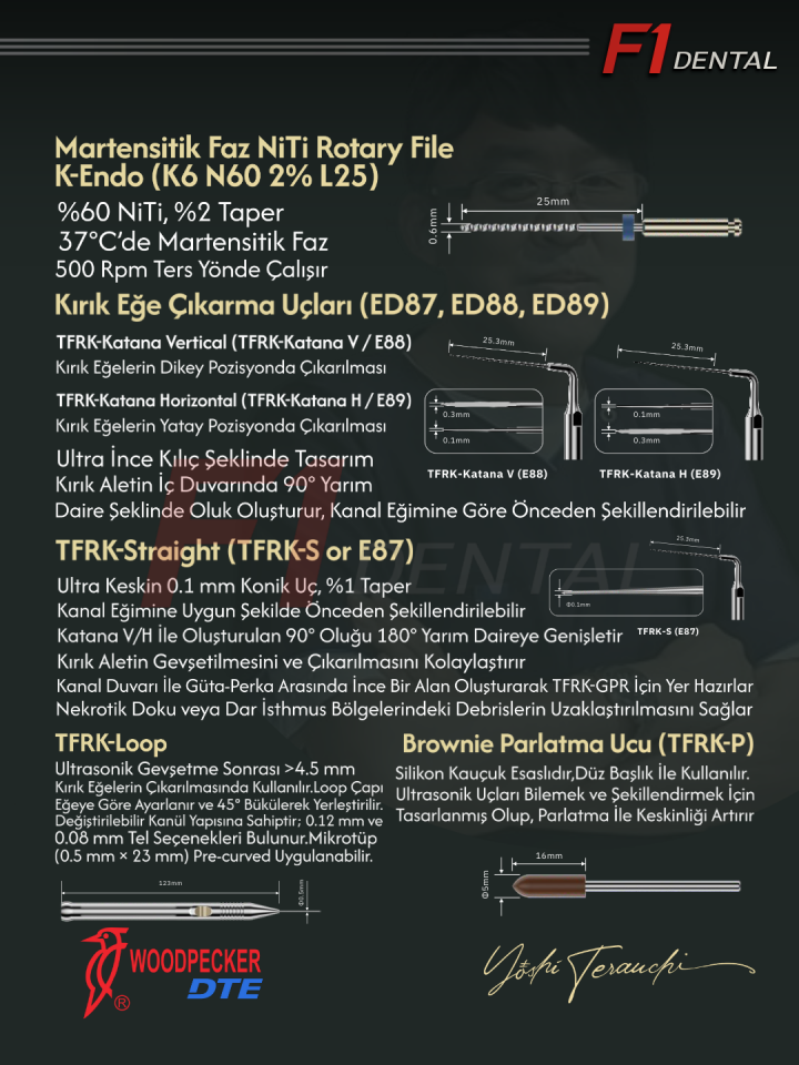 Woodpecker Kırık Kanal Eğesi Çıkarma Seti TFRK KİT