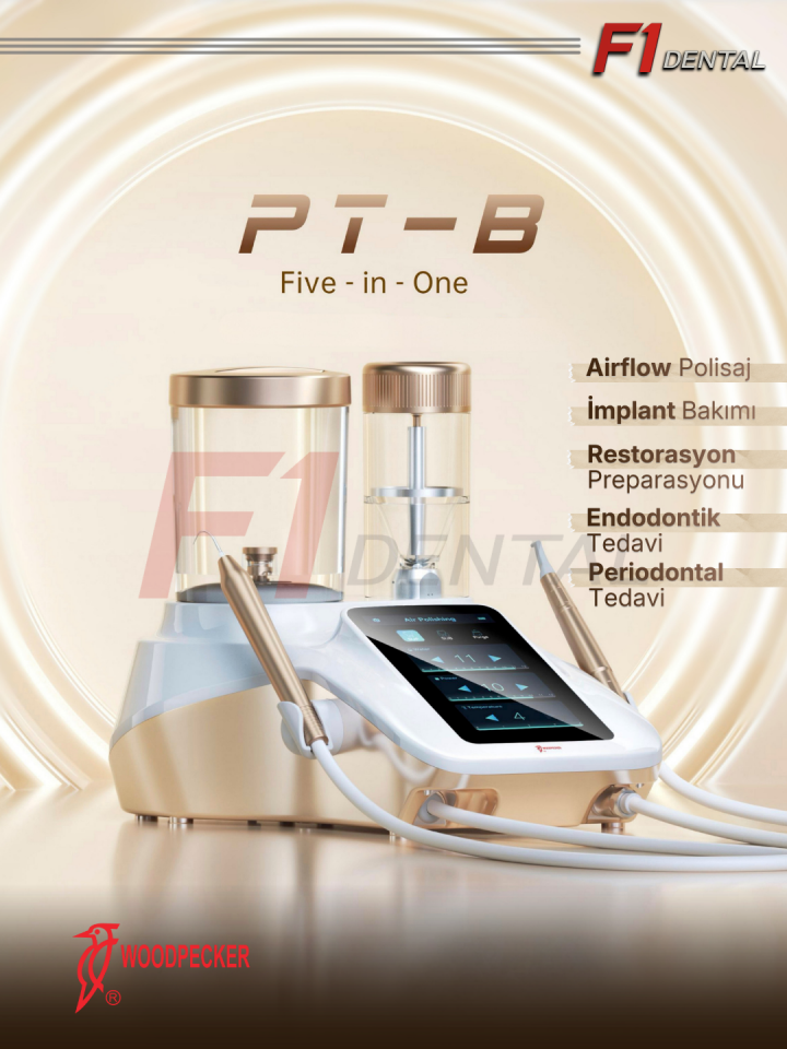 Woodpecker PT-B AirFlow & Kavitron Cihazı