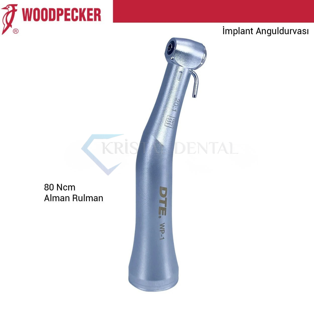 Woodpecker/Dte 20:1 Led Cerrahi Anguldurva WP-1L