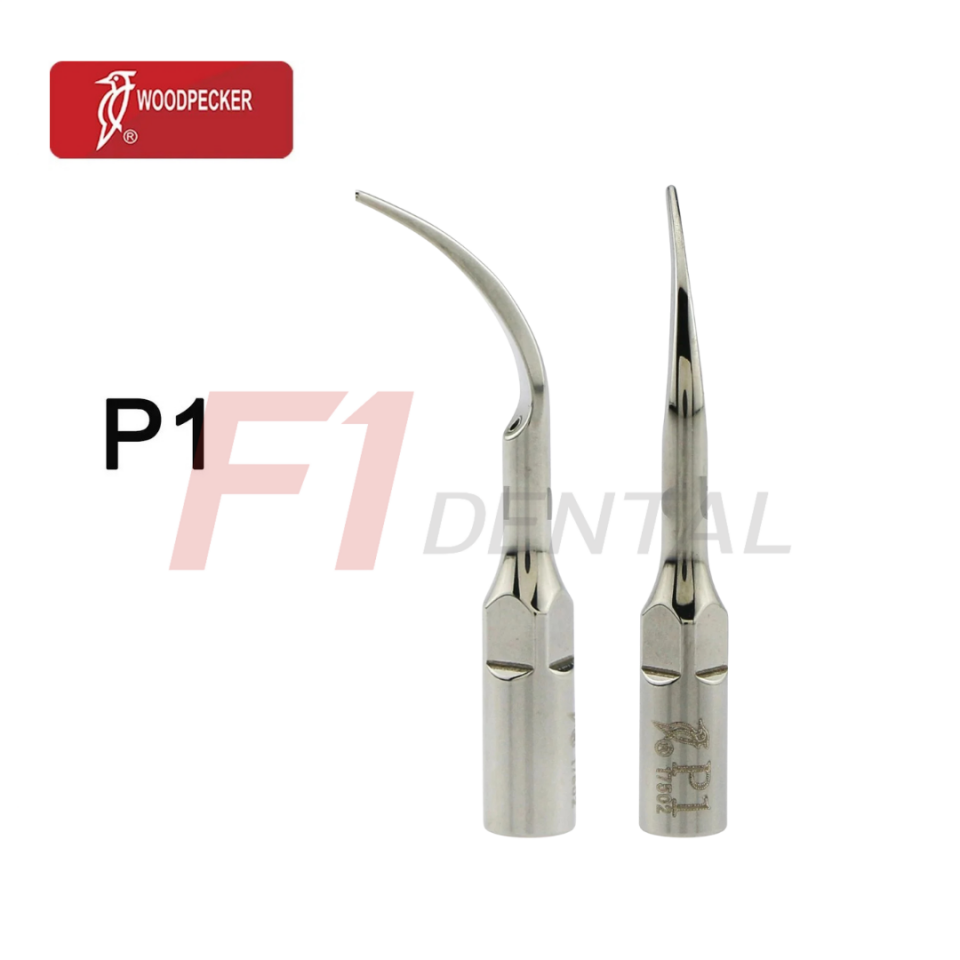 Woodpecker Kavitron Ucu P1