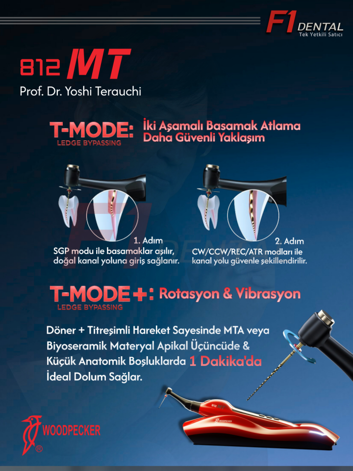 Woodpecker PT-B AirFlow Cihazı