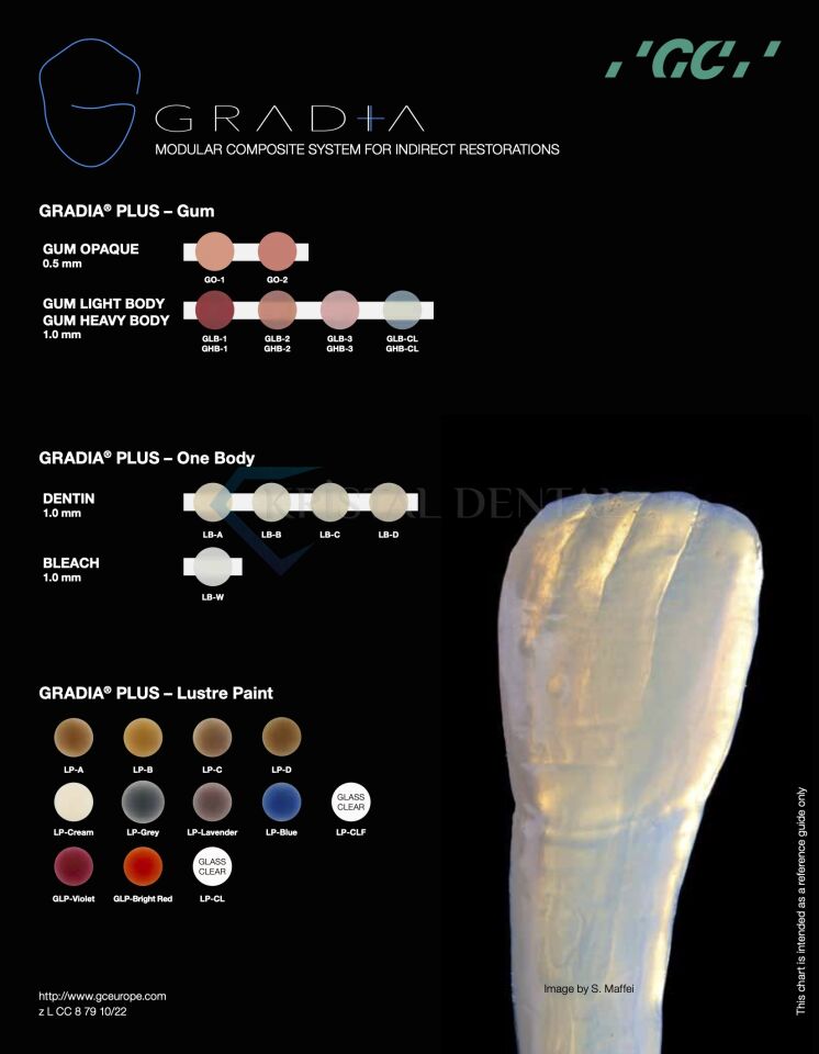 GC Gradia Plus Layer Set