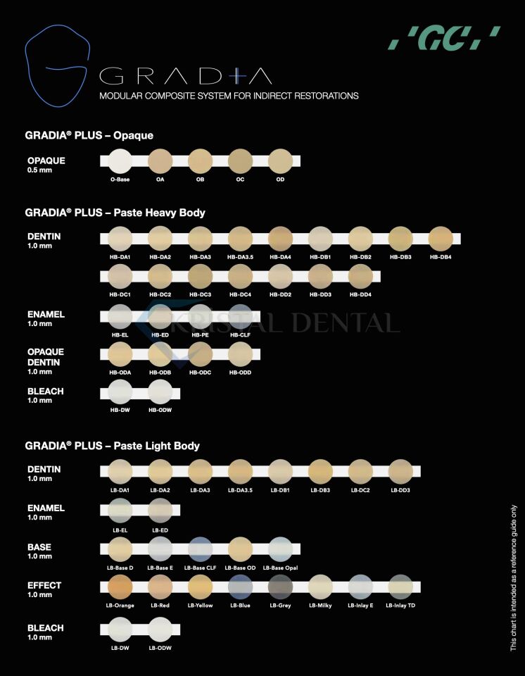 GC Gradia Plus Paint Set