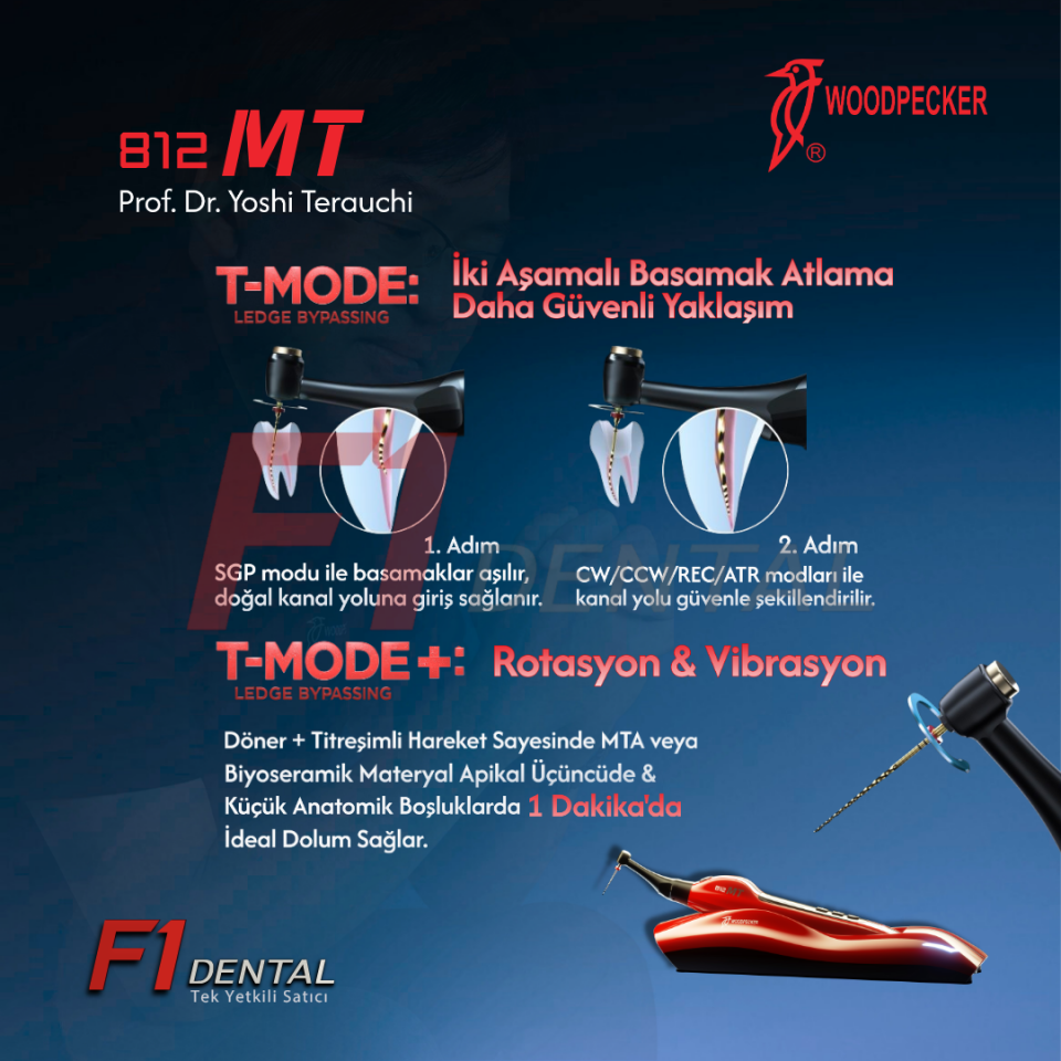 Woodpecker 812 MT Endomotor - Worldwide Unique KAMPANYA