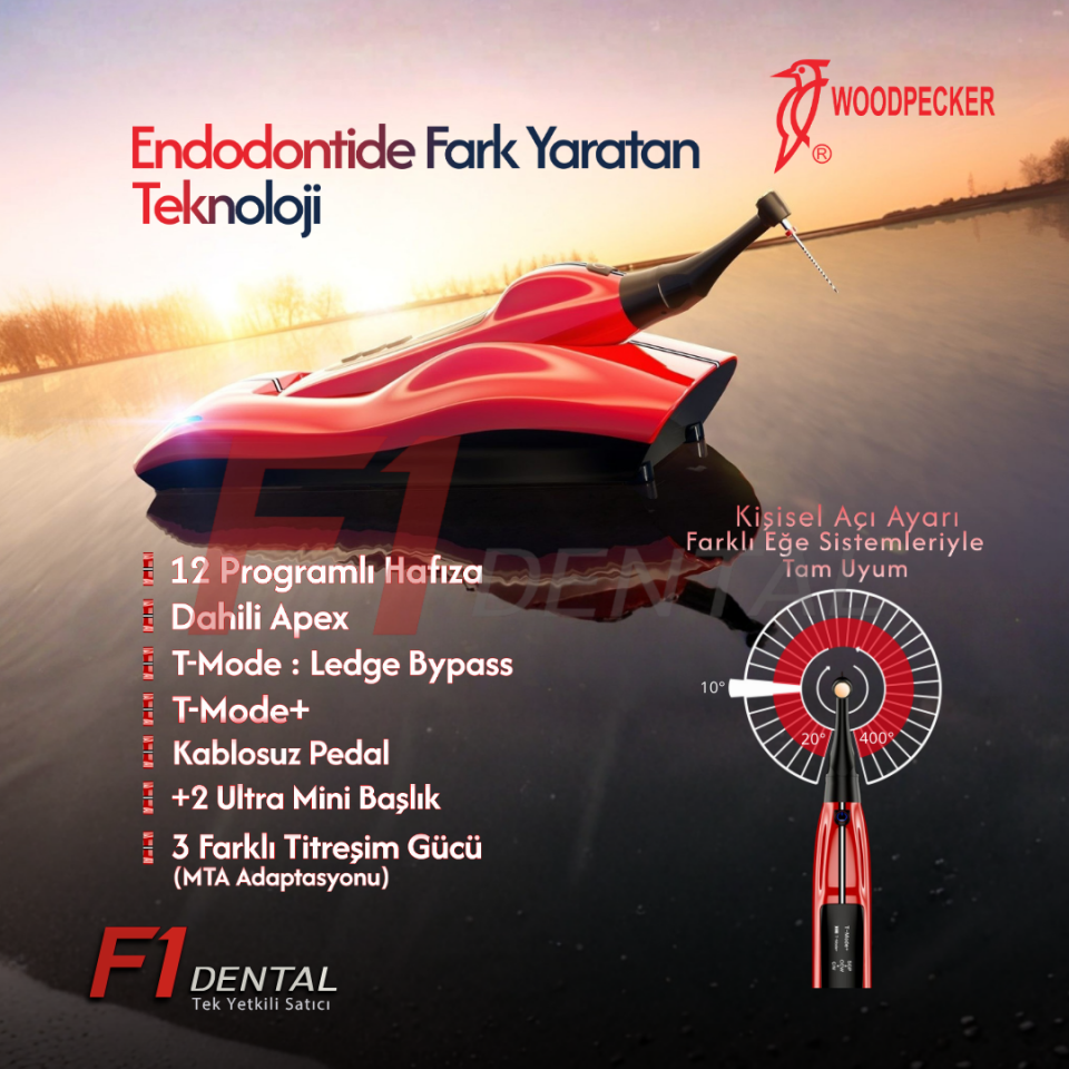 Woodpecker 812 MT Endomotor - Worldwide Unique KAMPANYA
