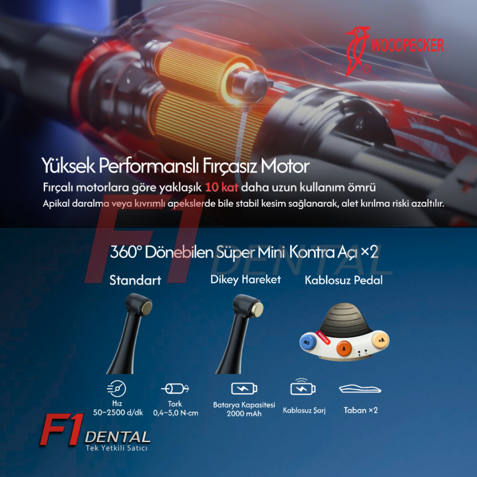 Woodpecker 812 MT Endomotor - Worldwide Unique